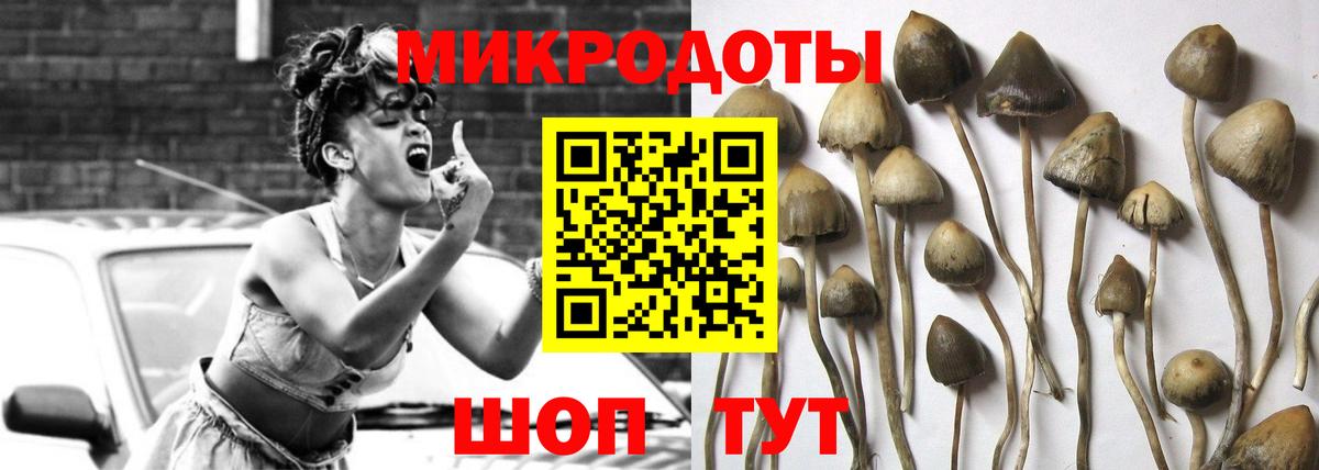 купить наркотики сайты  Вход с VPN  Учалы  Псилоцибиновые грибы Cubensis  Галлюциногенные грибы мицелий 